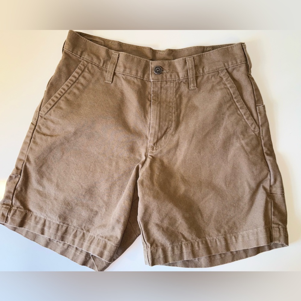PATAGONIA WORN WEAR ORGANIC COTTON SHORTS SZ 30